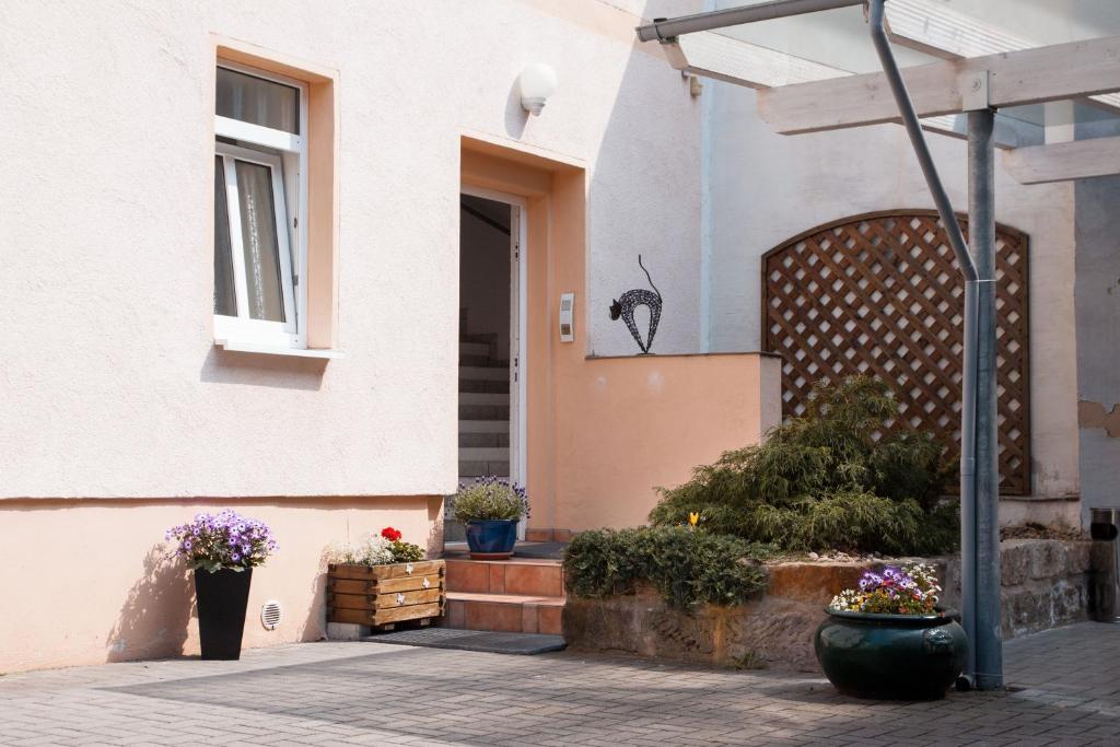 Apartment Neustadt